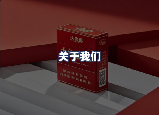 关于我们
